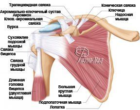 Повреждение сухожилия подлопаточной мышцы