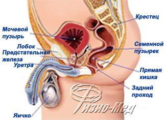 простатит лечение